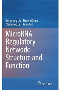Microrna Regulatory Network: Structure and Function