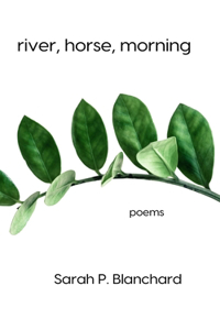 river, horse, morning