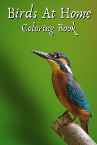 Birds at Home Coloring Book