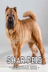 Shar Peis