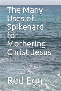 The Many Uses of Spikenard for Mothering Christ Jesus