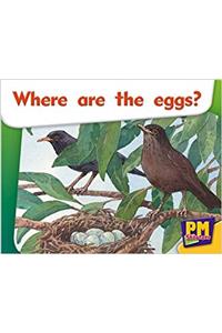 Where are the eggs?