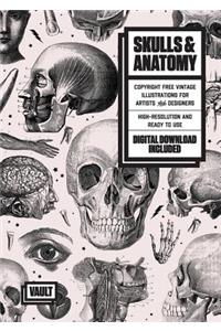 Skulls & Anatomy