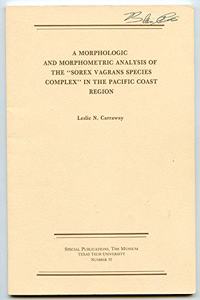 A Morphological and Morphometric Analysis of the 