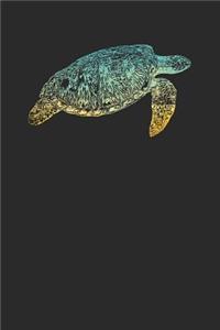 Turtle Colors: Turtles Notebook, Graph Paper (6 x 9 - 120 pages) Animal Themed Notebook for Daily Journal, Diary, and Gift