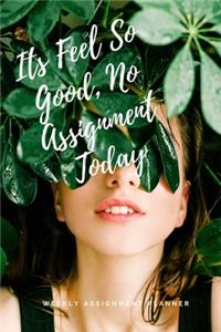 Its Feel So Good, No Assignment Today