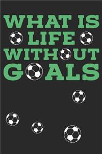 What Is Life Without Goals
