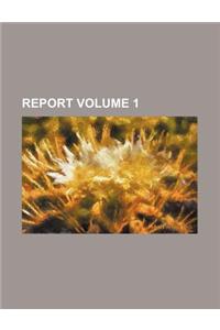 Report Volume 1