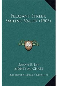 Pleasant Street, Smiling Valley (1903)