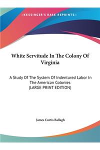 White Servitude in the Colony of Virginia