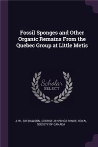 Fossil Sponges and Other Organic Remains From the Quebec Group at Little Metis