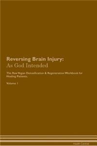 Reversing Brain Injury: As God Intended the Raw Vegan Plant-Based Detoxification & Regeneration Workbook for Healing Patients. Volume 1