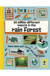30 Million Different Insects in the Rainforest