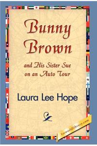 Bunny Brown and His Sister Sue on an Auto Tour