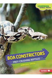 Boa Constrictors