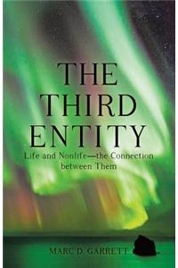 The Third Entity