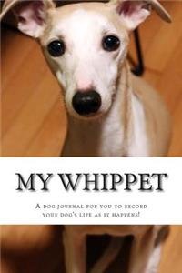 My Whippet