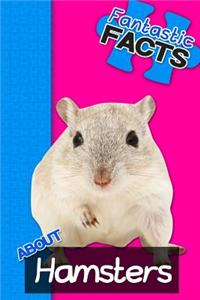 Fantastic Facts about Hamsters: Illustrated Fun Learning for Kids