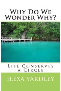 Why Do We Wonder Why?