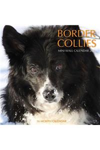 Border Collies Calendar 2015