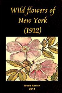 Wild flowers of New York (1912)