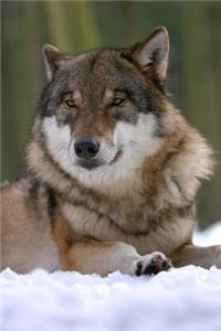 MindBlowing Wolf Journal 3