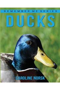 Ducks