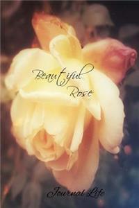 Beautiful Rose