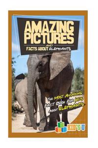 Amazing Pictures and Facts about Elephants