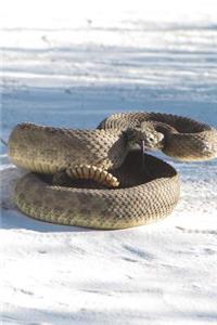 Rattlesnake Journal