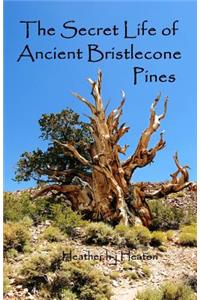 Secret Life of Ancient Bristlecone Pines