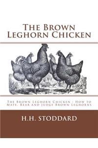 Brown Leghorn Chicken