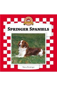 Springer Spaniels