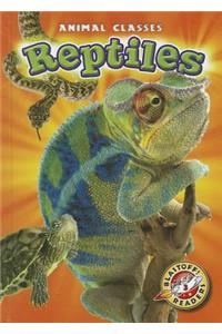 Reptiles