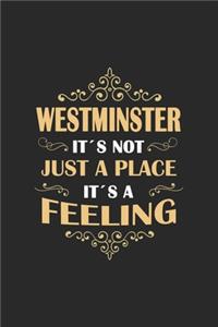 City of Westminster Its not just a place its a feeling