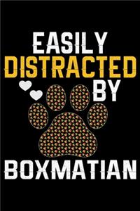 Easily Distracted by Boxmatian