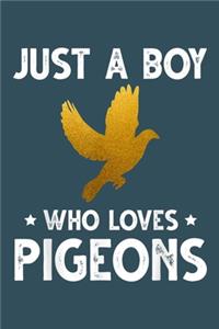 Just a boy who loves pigeons