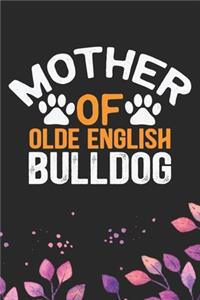 Mother Of Olde English Bulldog