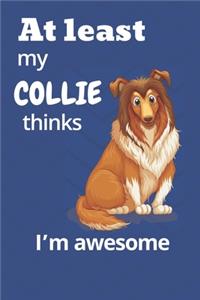 At least My Collie thinks I'm awesome