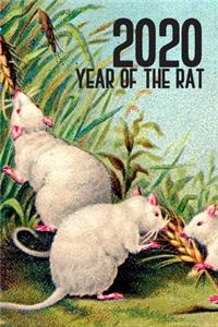 2020 Year Of The Rat