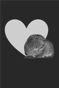 Meerschweinchen mit Herz