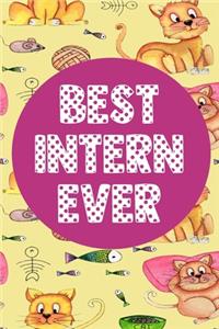 Best Intern Ever