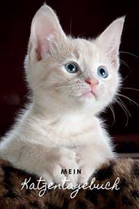 Mein Katzentagebuch