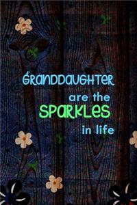Granddaughter Are The Sparkles In Life