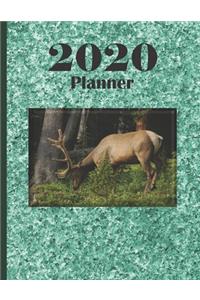 2020 Planner