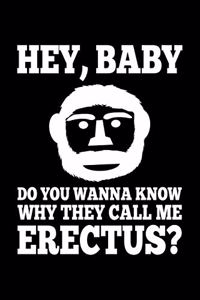 Hey, Baby Do You Wanna Know Why They Call Me Erectus?