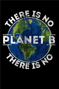 There is no Planet B