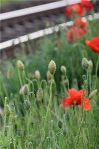 Red Poppy Notebook
