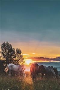 Horse Lover's Journal