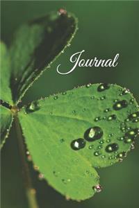 Journal